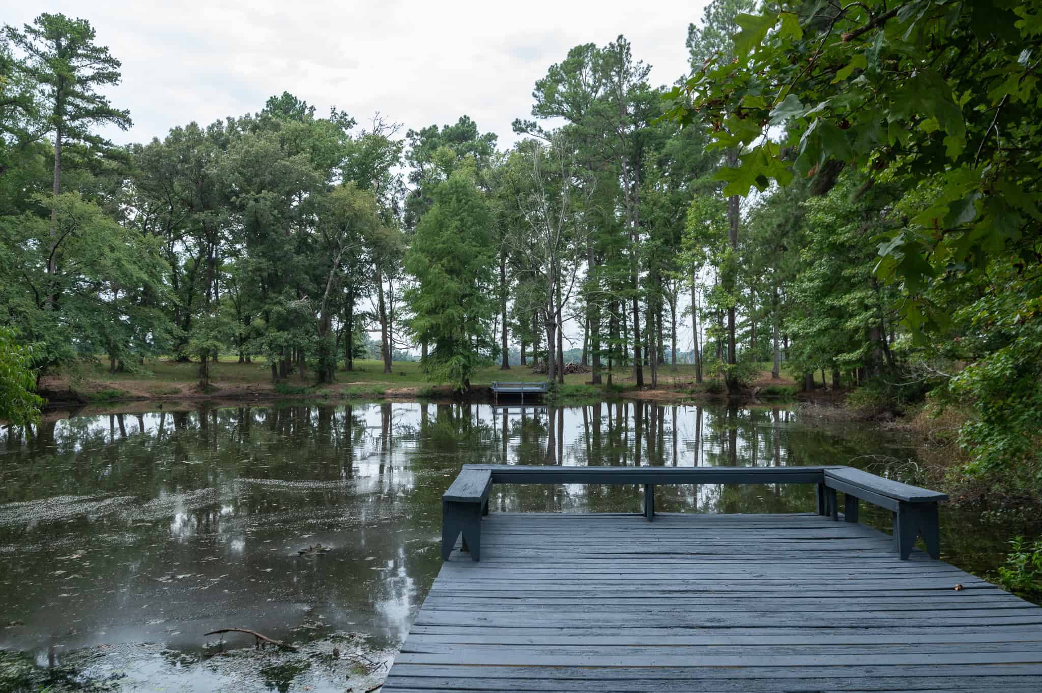 SOLD! Overton TX Ranch for Sale in Rusk County East of Dallas
