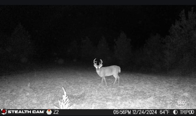 Turn Key Hunting Property in Amite County, MS