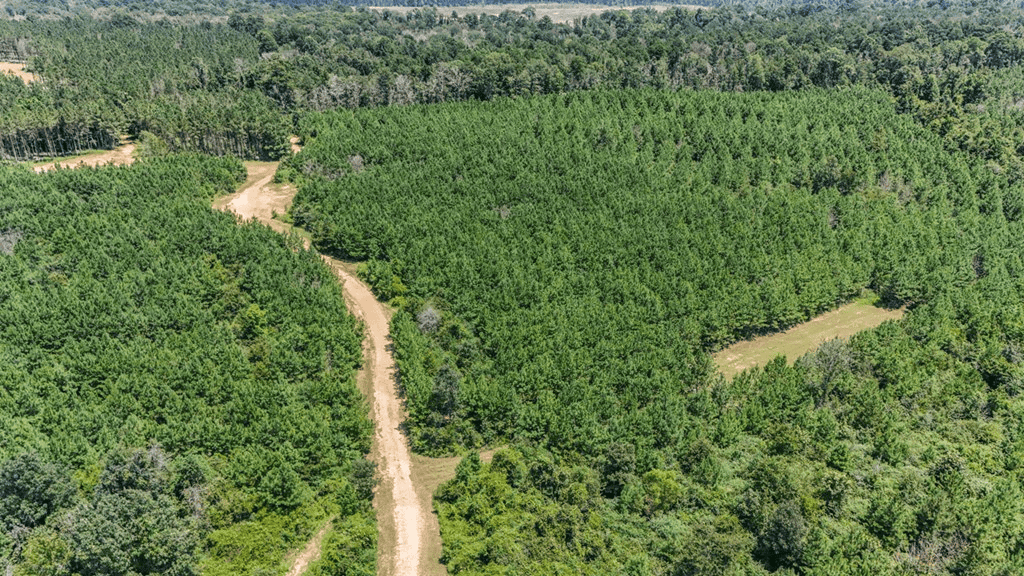 Turn Key Hunting Property in Amite County, MS
