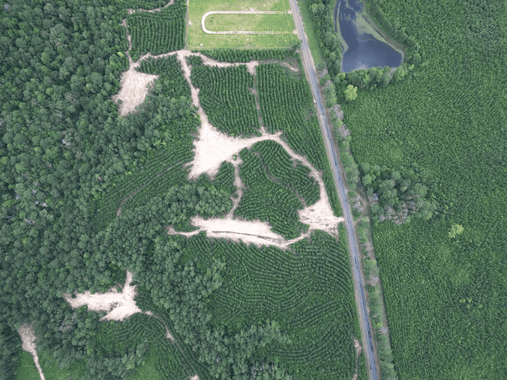 Small Hunting Property Near Caston Creek WMA