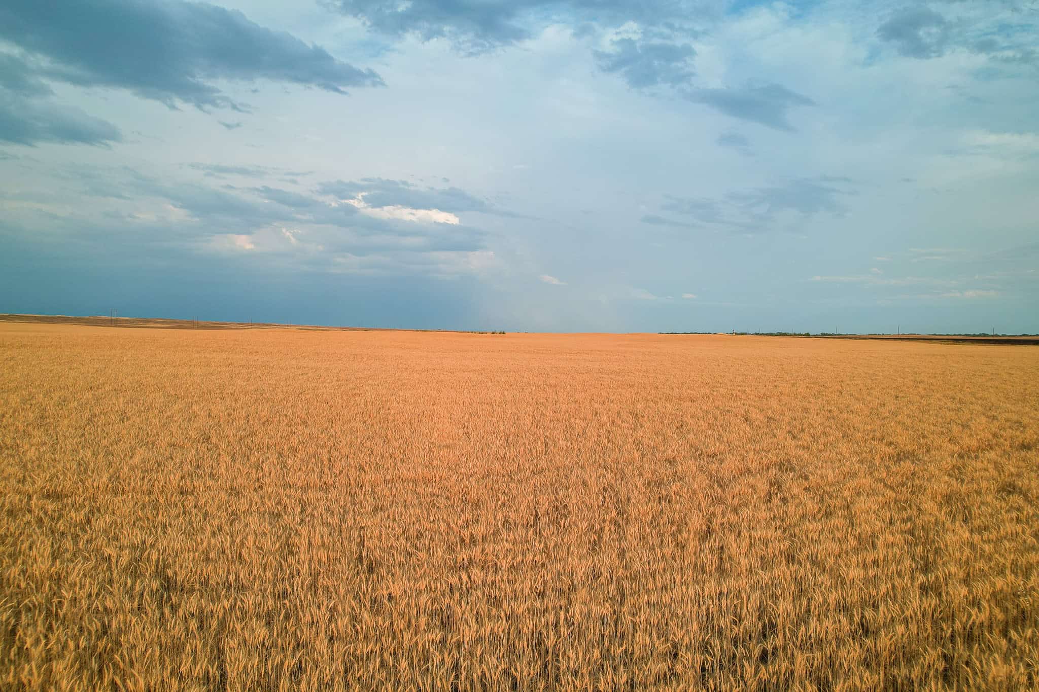 Milk River Treasure Ranch Dryland Farm Hay Production