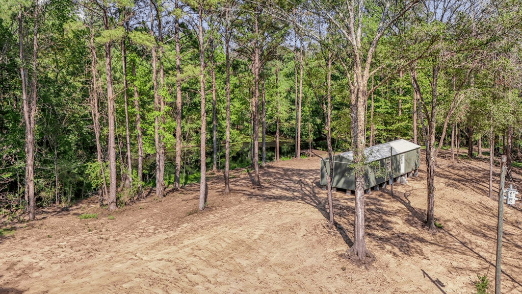 Wilkinson County Hunting Land Adjoining National Forest