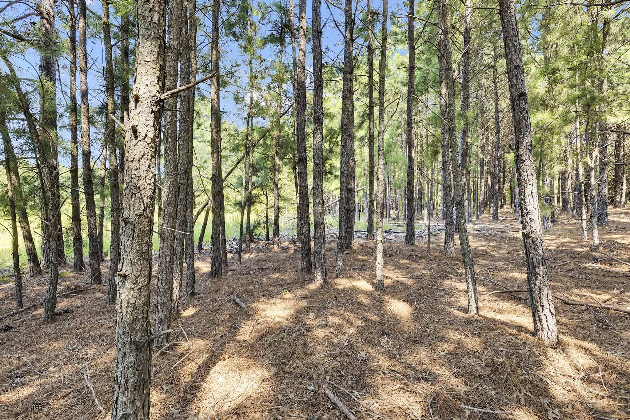 Henderson County Texas Legacy Farm For Sale Near Athens TX