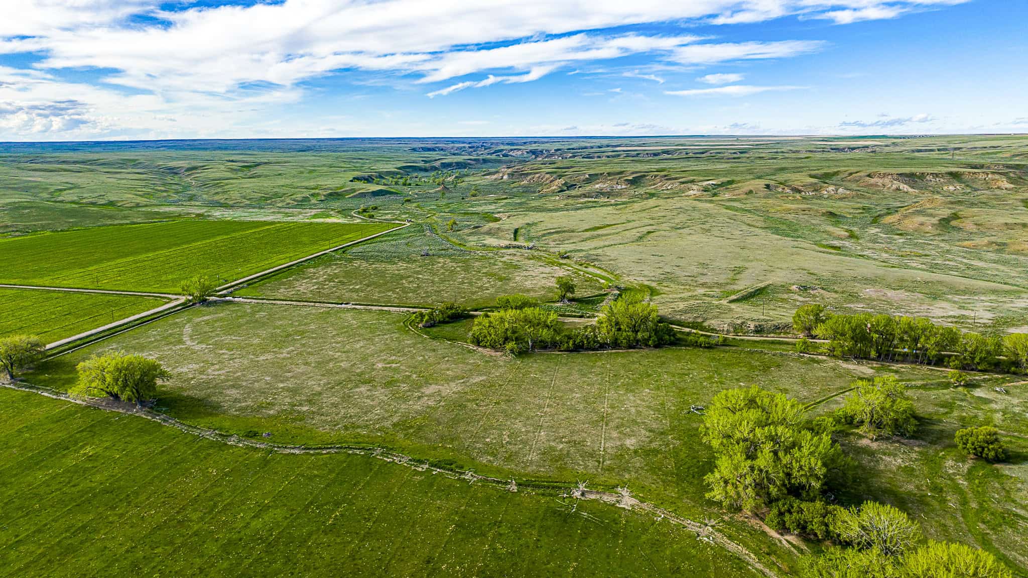 Dodson Creek Ranch