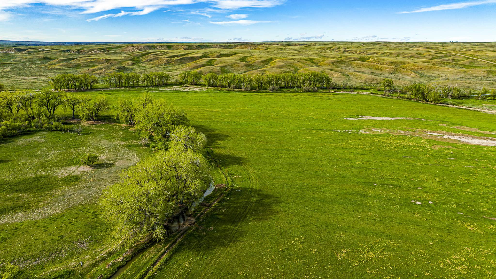 Dodson Creek Ranch