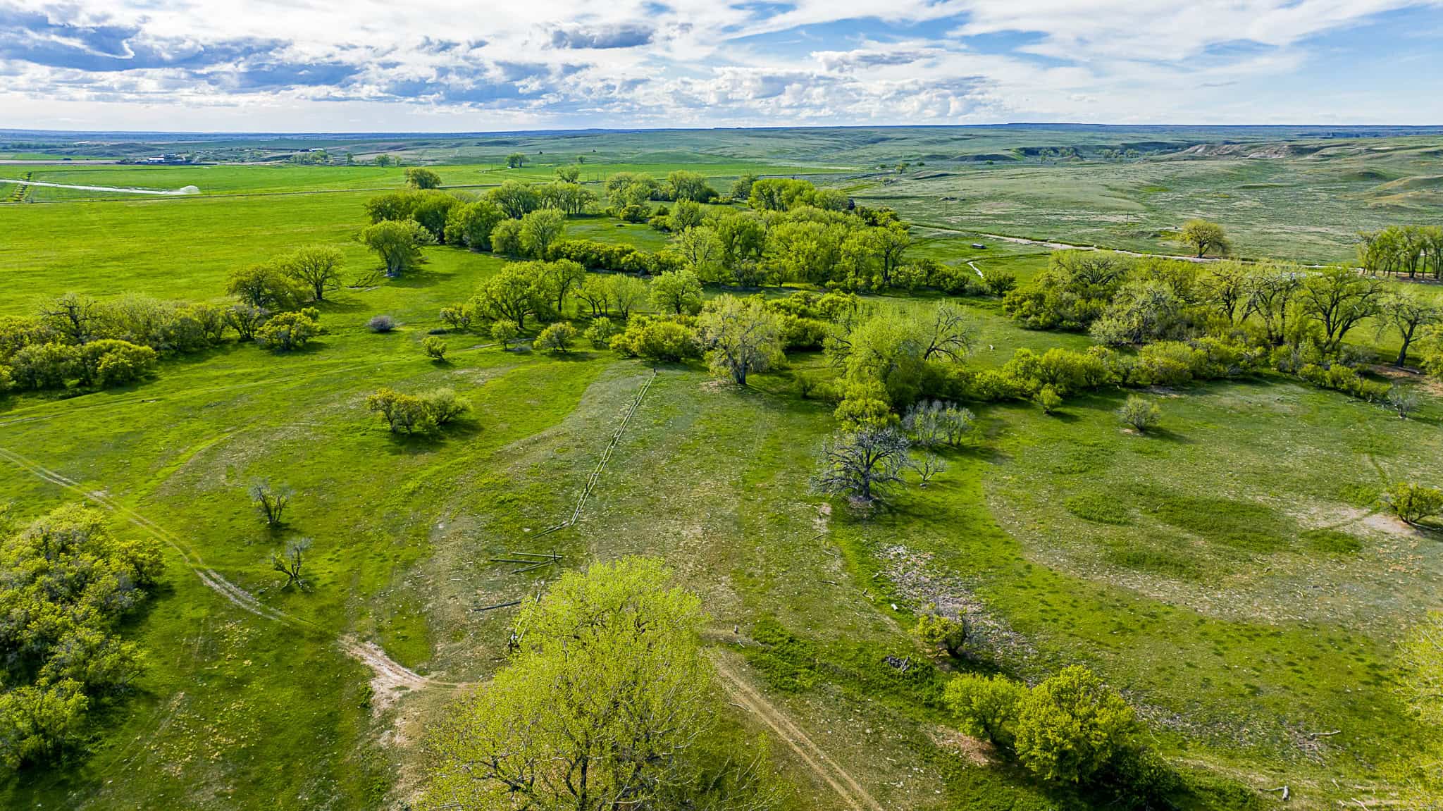 Dodson Creek Ranch