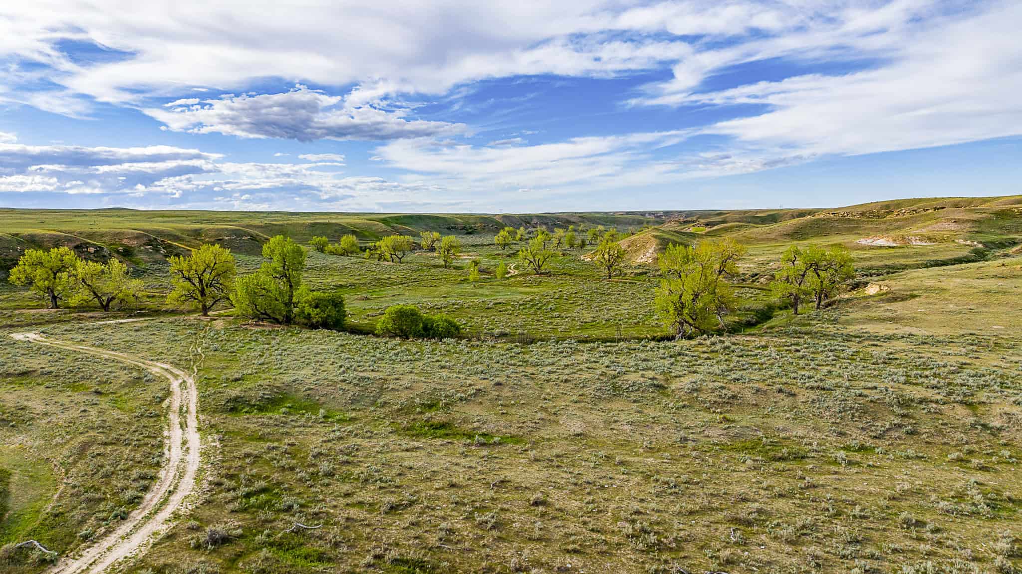 Dodson Creek Ranch