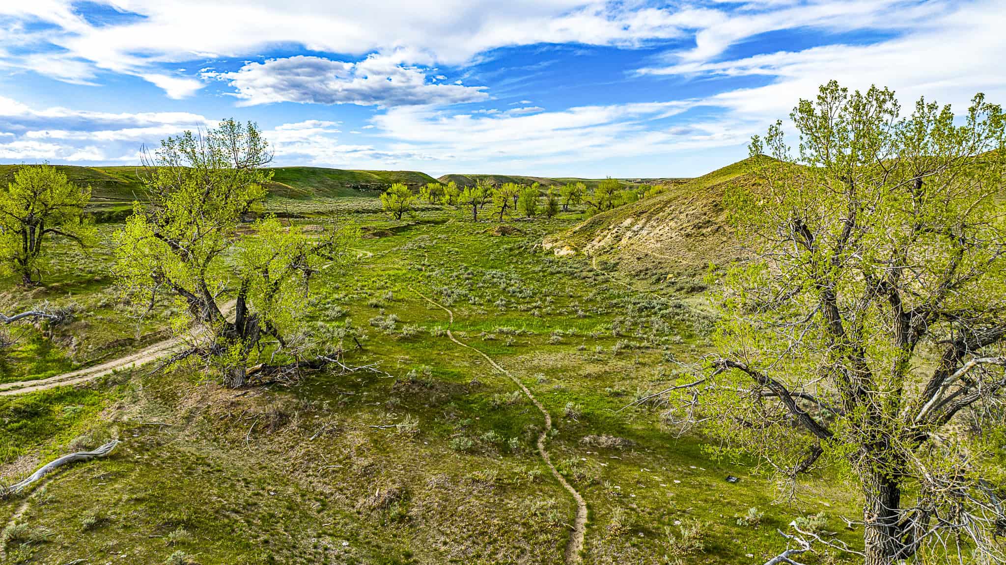 Dodson Creek Ranch