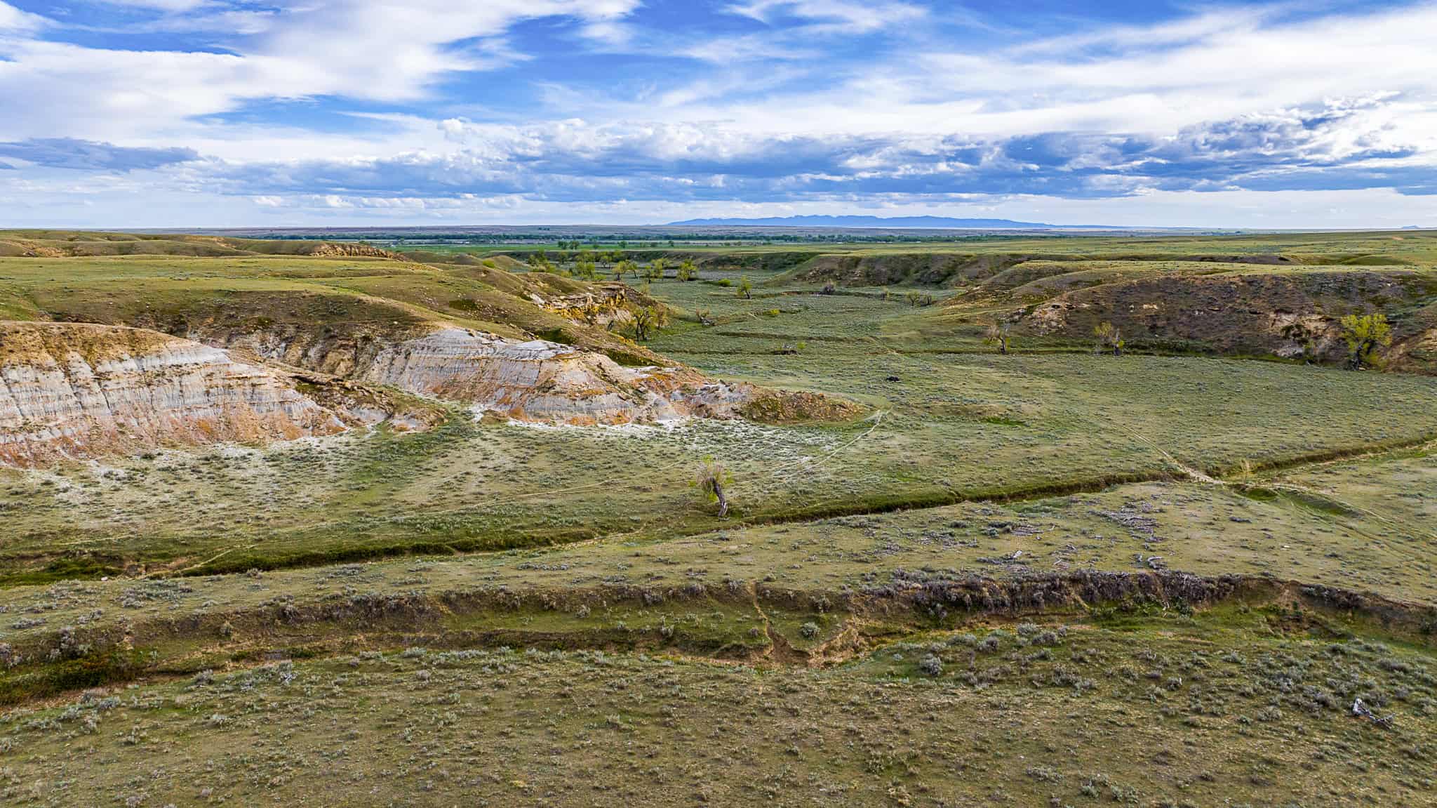 Dodson Creek Ranch