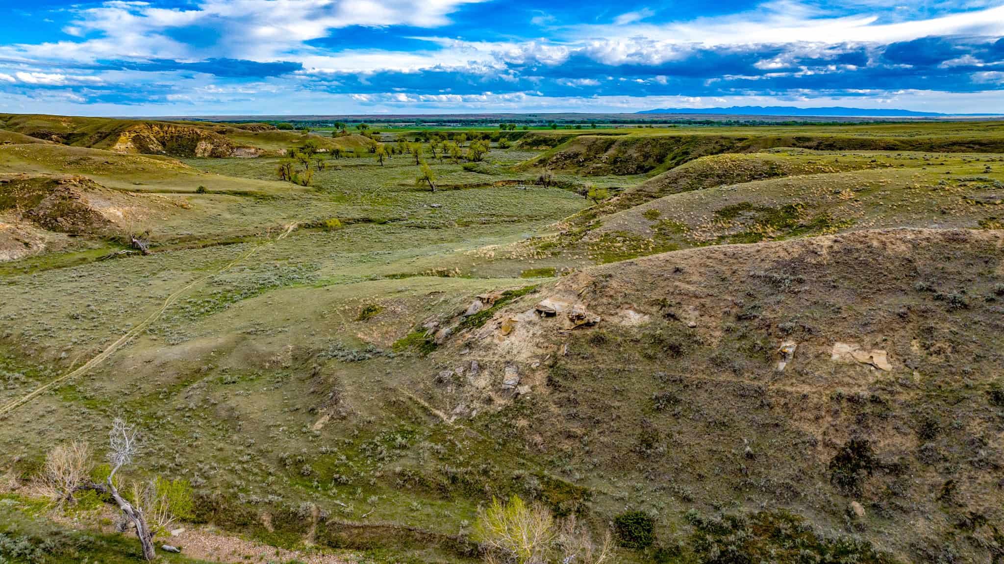 Dodson Creek Ranch