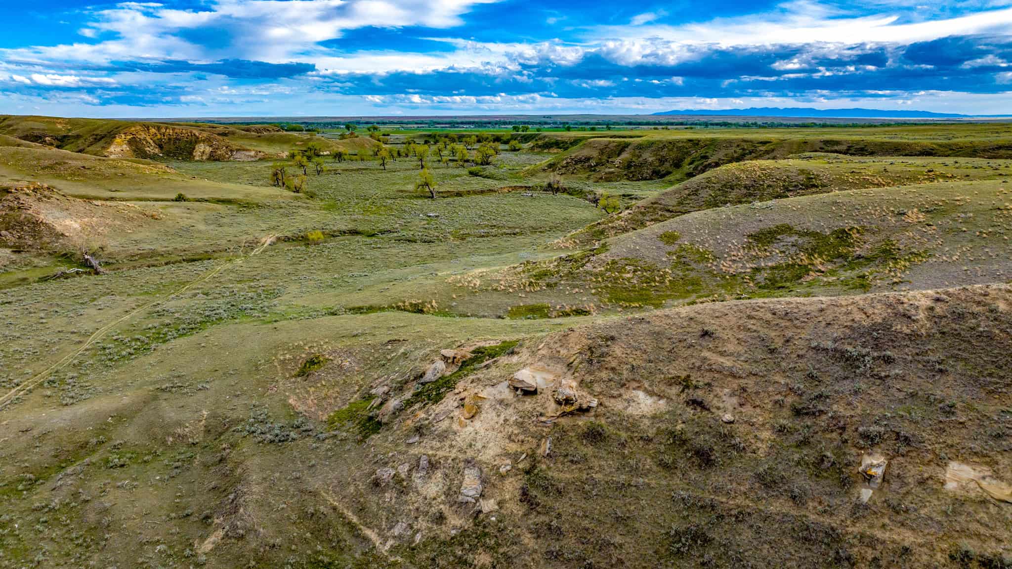 Dodson Creek Ranch