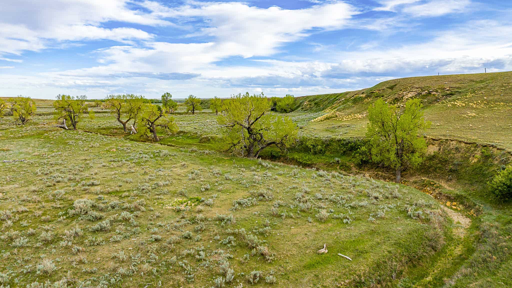 Dodson Creek Ranch