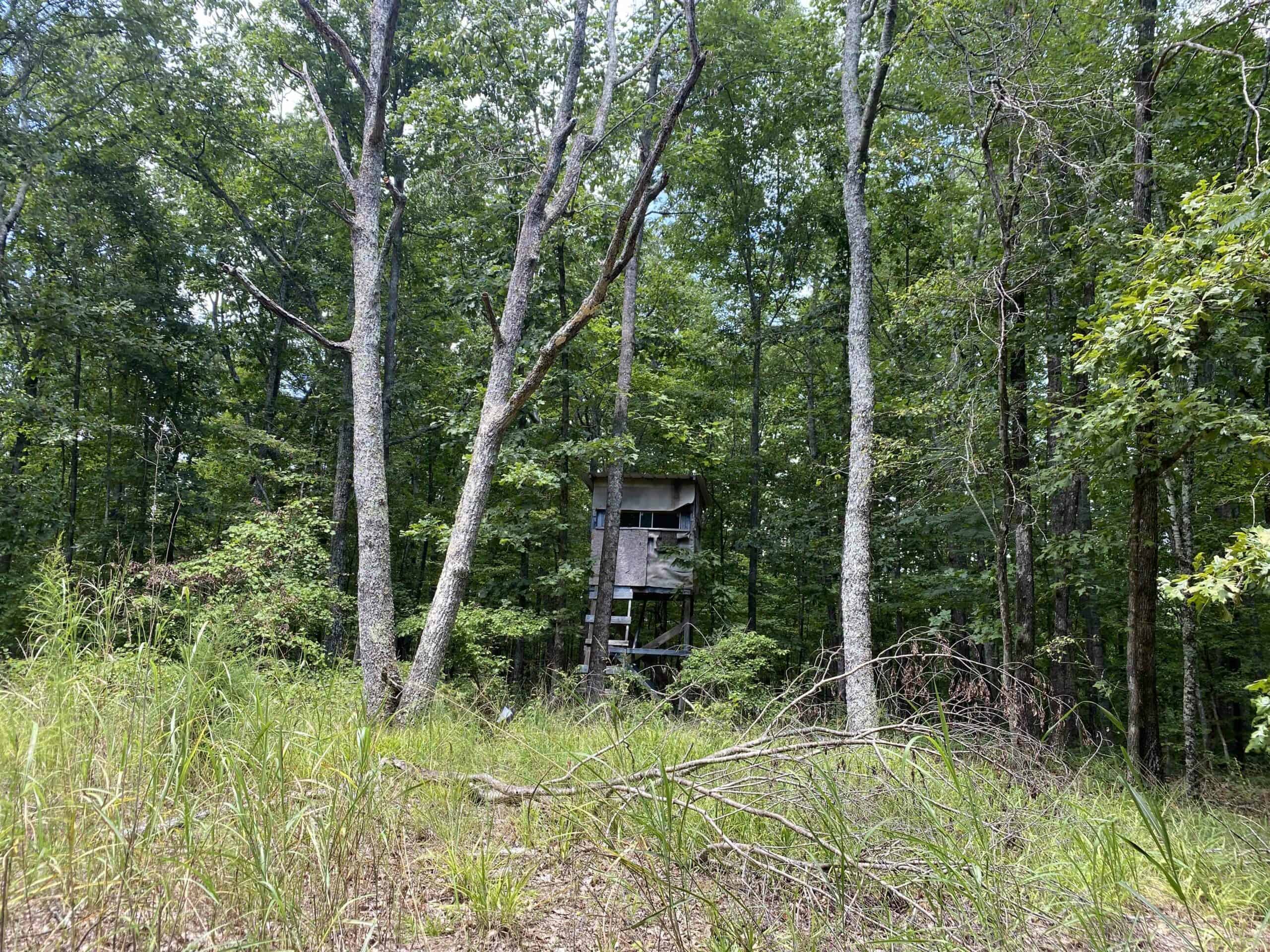 HUNTING PROPERTY FOR SALE IN TN WITH TIMBER AND BRANCH