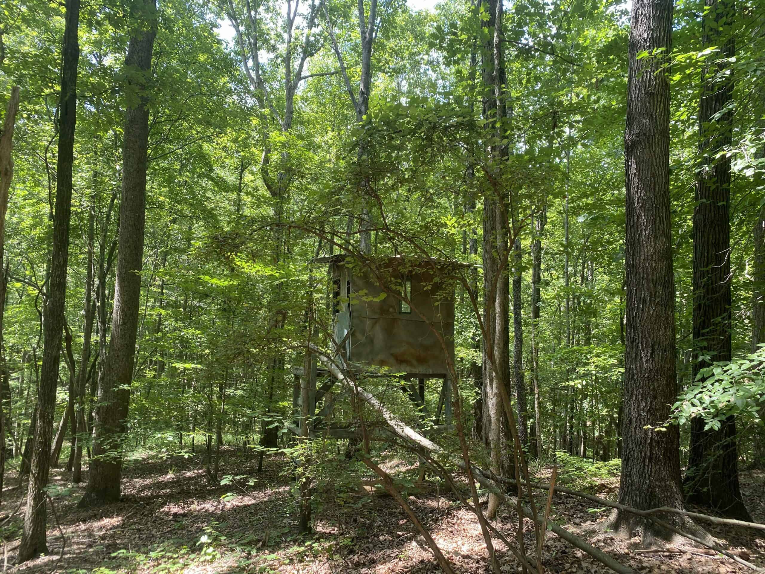 HUNTING PROPERTY FOR SALE IN TN WITH TIMBER AND BRANCH