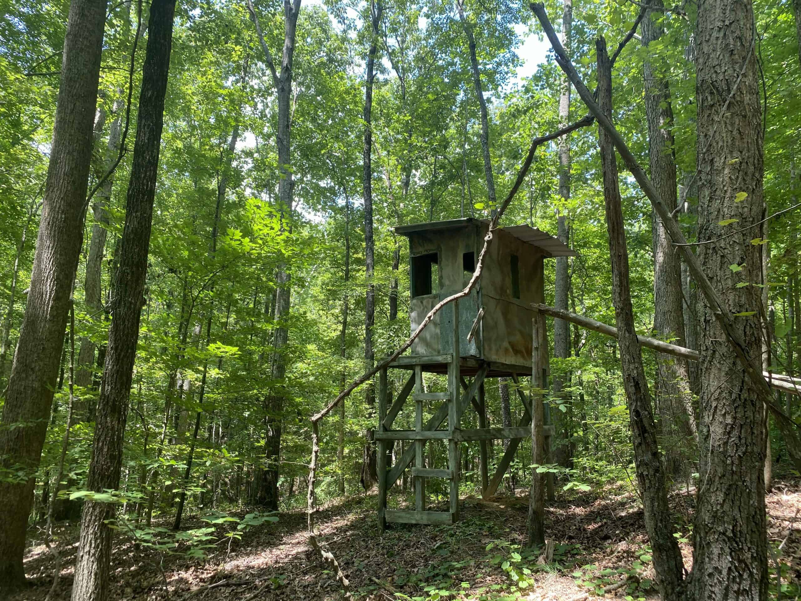 HUNTING PROPERTY FOR SALE IN TN WITH TIMBER AND BRANCH