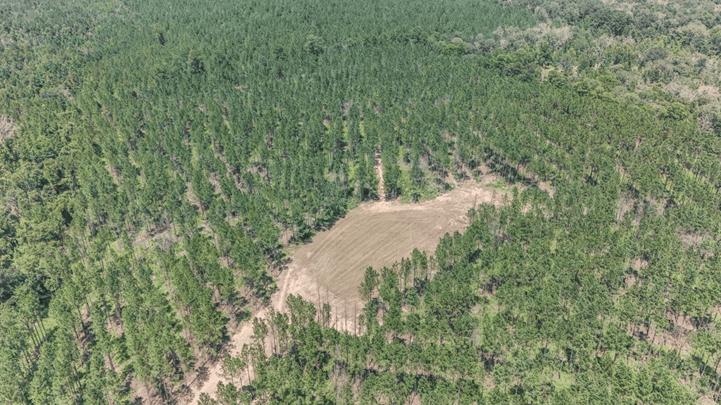 Turn Key Hunting Property in Amite County, MS