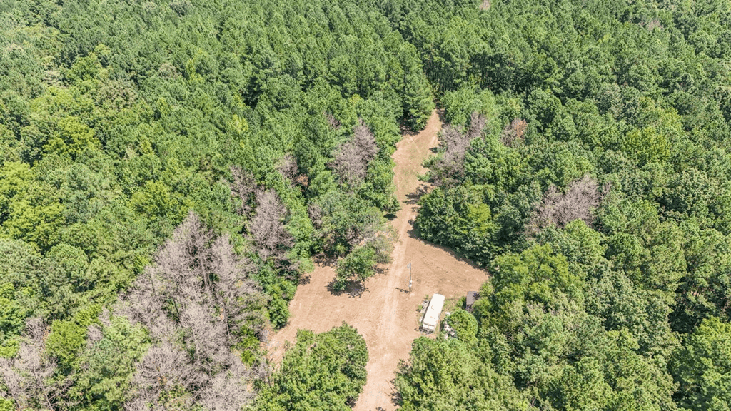Hunting and Timberland for Sale in Claiborne County, MS
