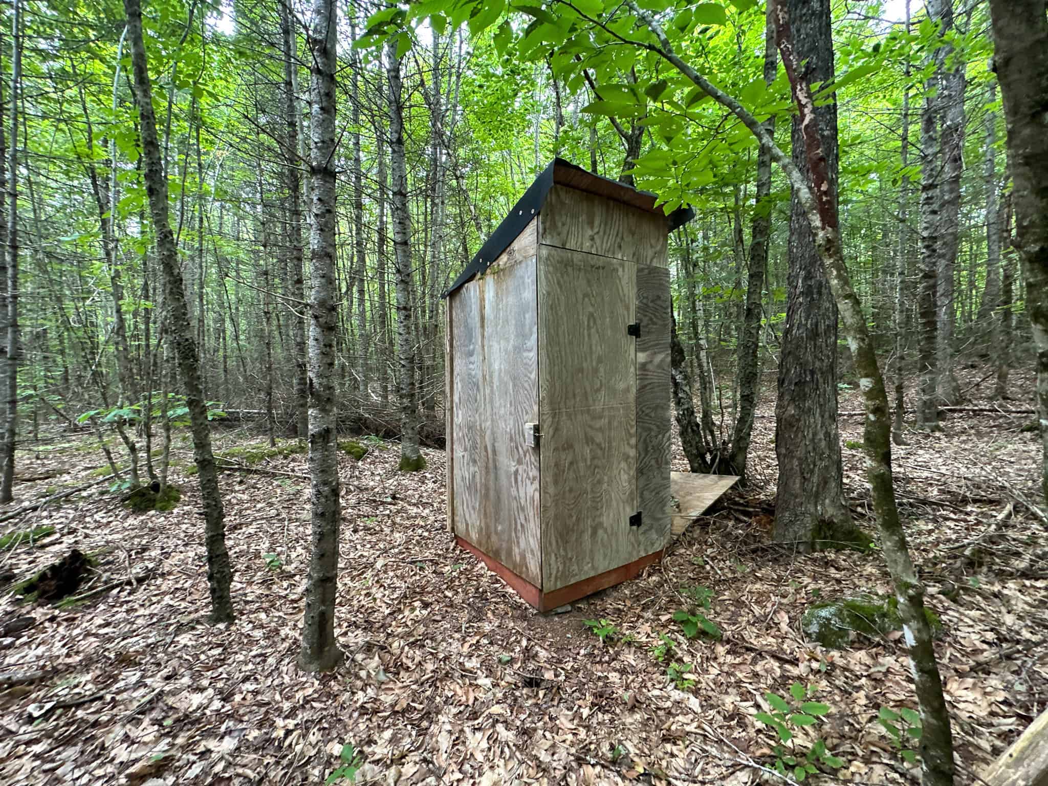 Affordable 20 Acres in the Woods