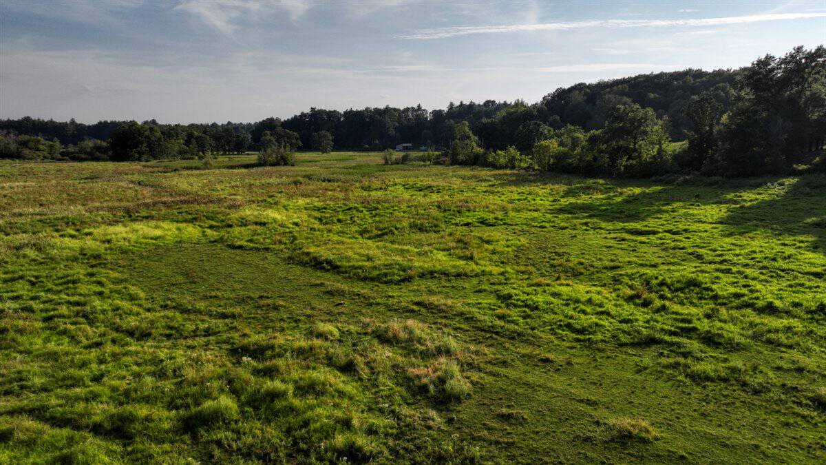 37+ Acres of Unlimited Potential – Elroy, WI