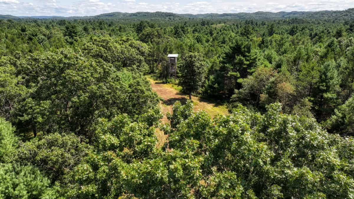 4-Bedroom Home Tucked Away in the Pines