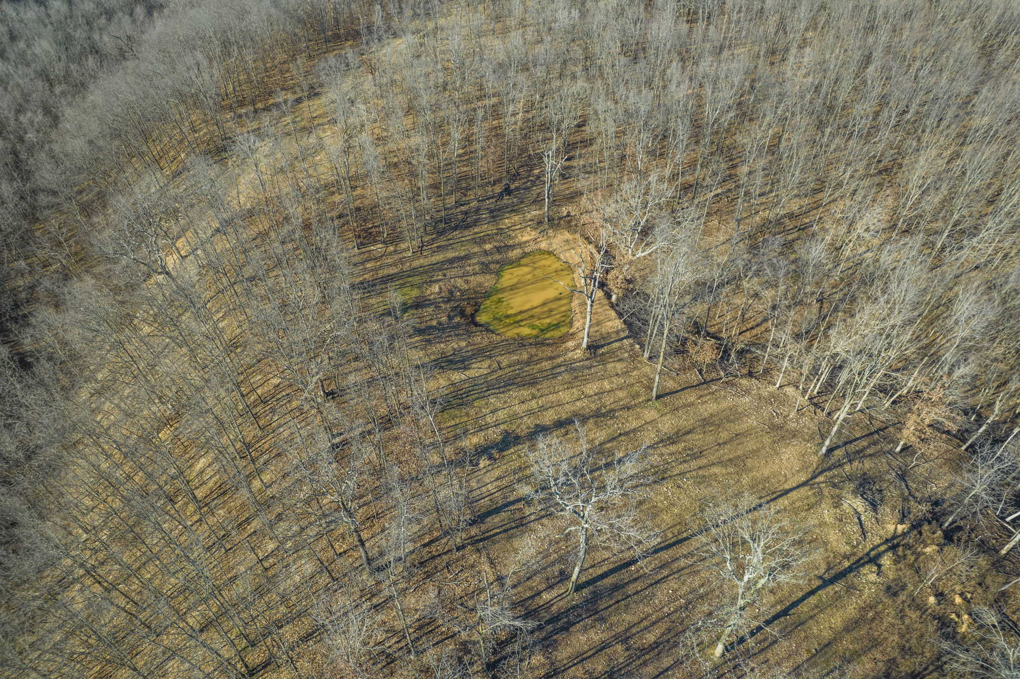 160 Acre Hunting Land in Delaware County Oklahoma