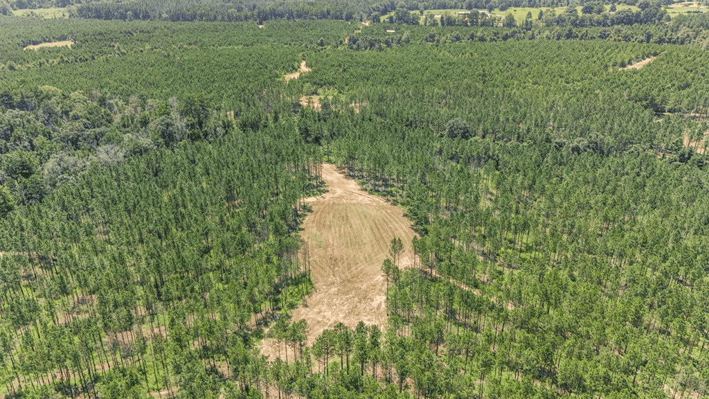 Turn Key Hunting Property in Amite County, MS