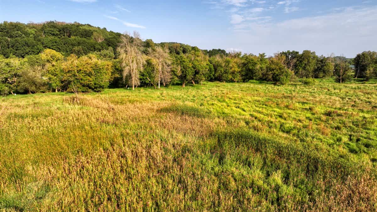 37+ Acres of Unlimited Potential – Elroy, WI
