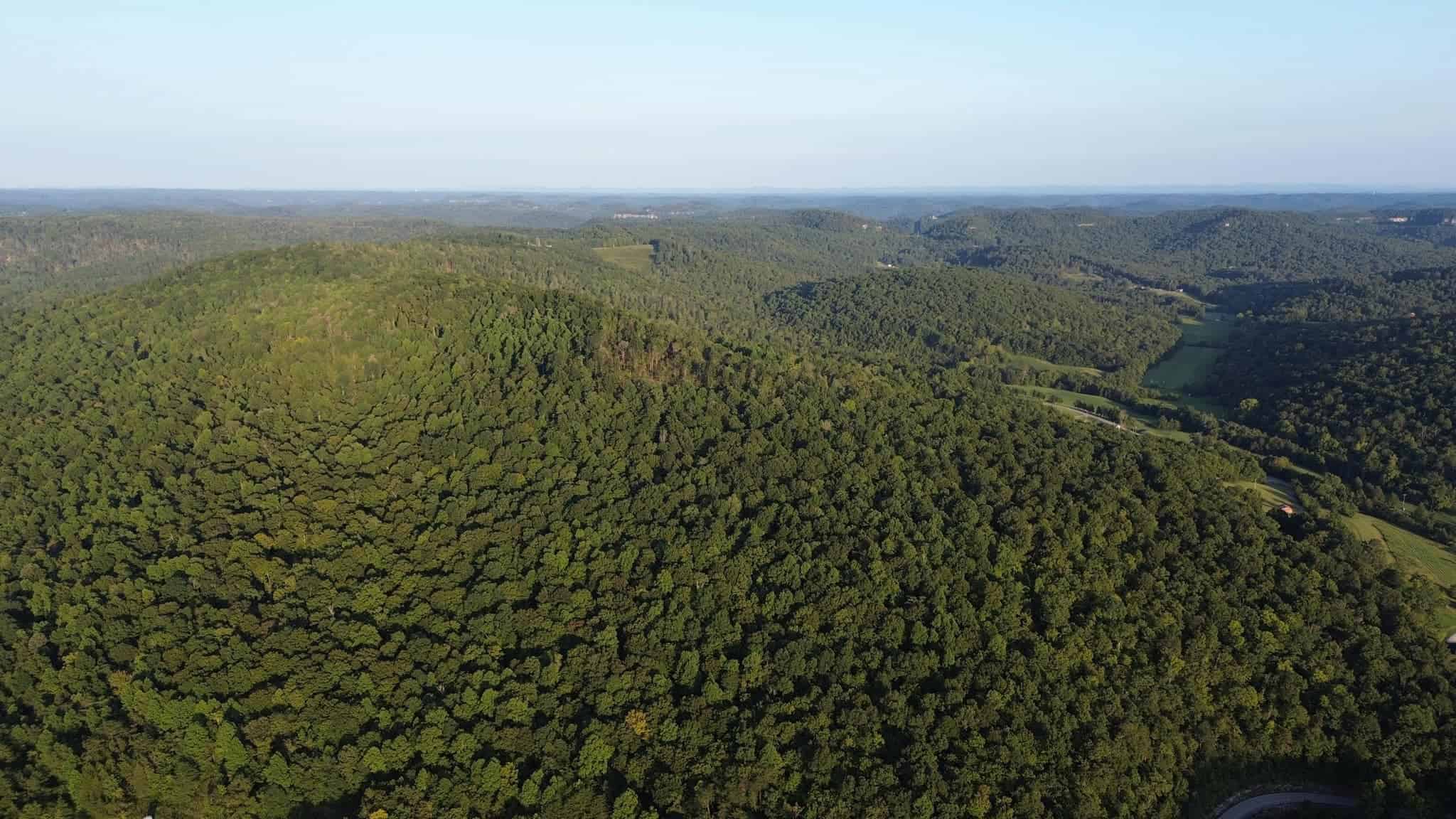 Acreage in Wayne County, Kentucky