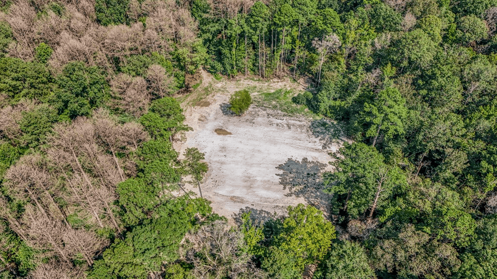 Wilkinson County Hunting Land Adjoining National Forest
