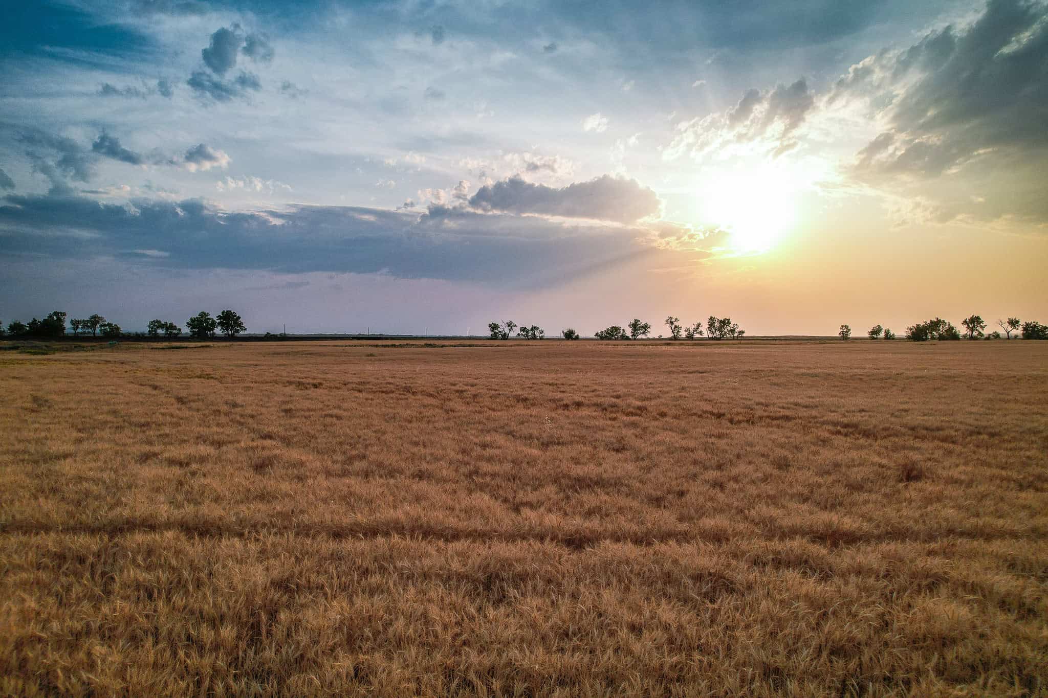 Milk River Treasure Ranch Dryland Farm Hay Production