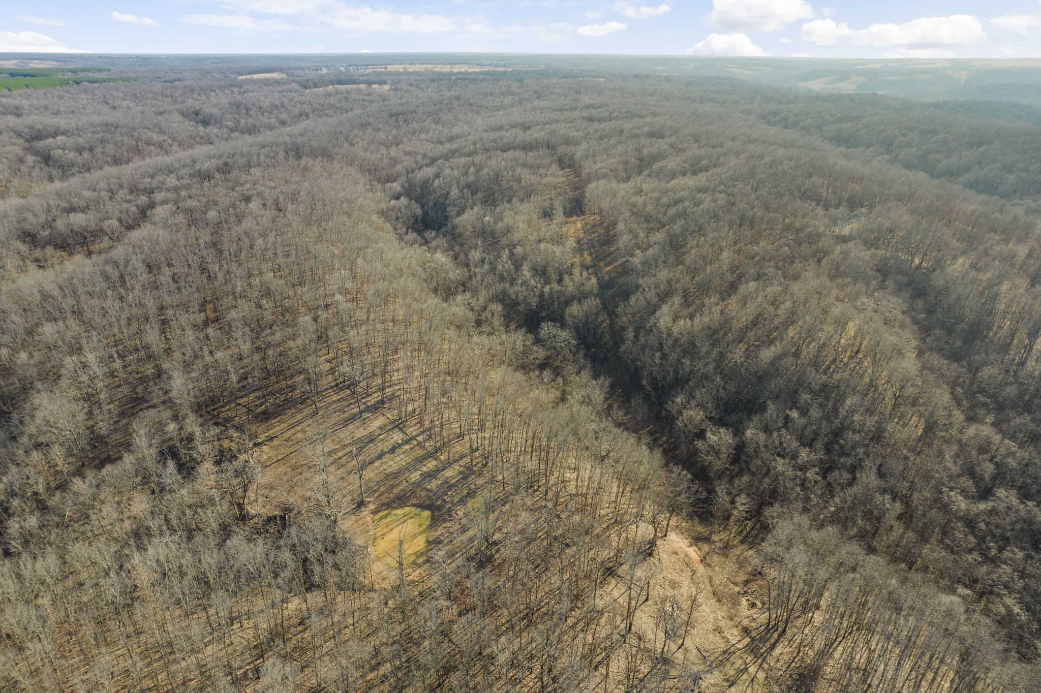 160 Acre Hunting Land in Delaware County Oklahoma