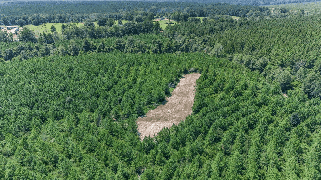 Turn Key Hunting Property in Amite County, MS