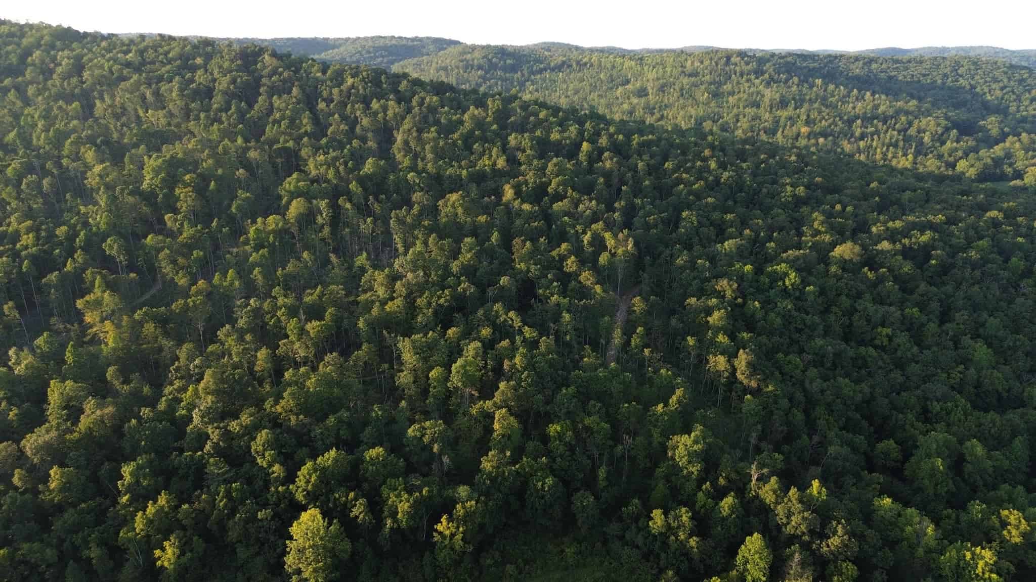 Acreage in Wayne County, Kentucky