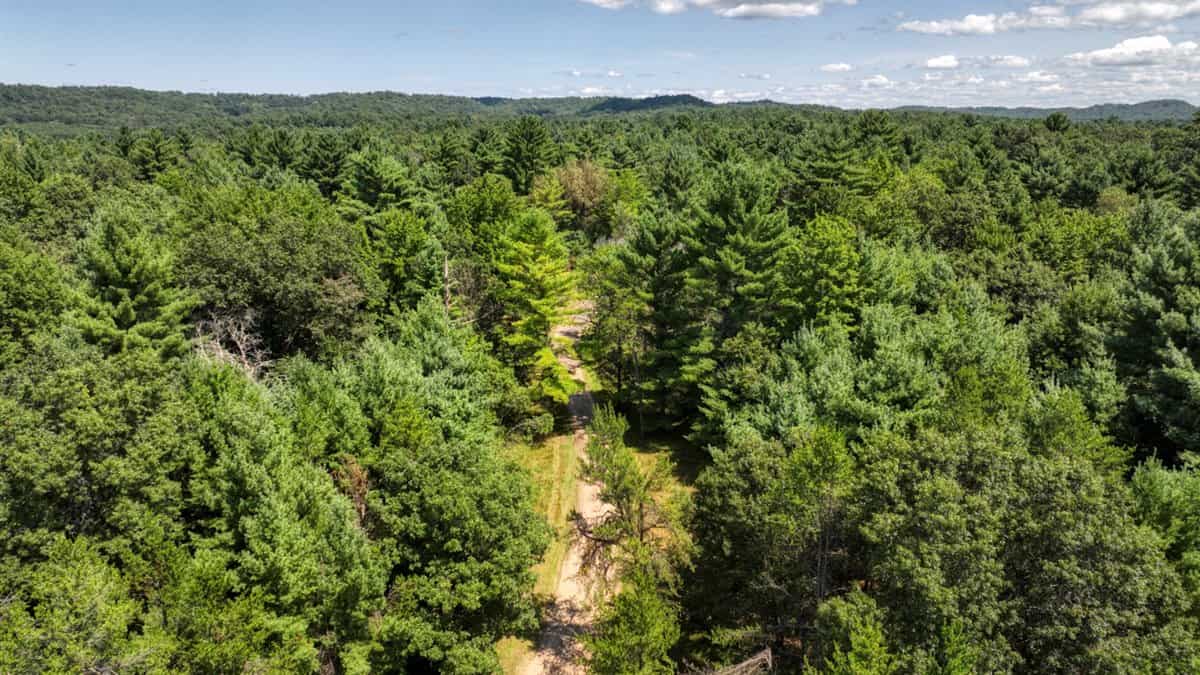 4-Bedroom Home Tucked Away in the Pines