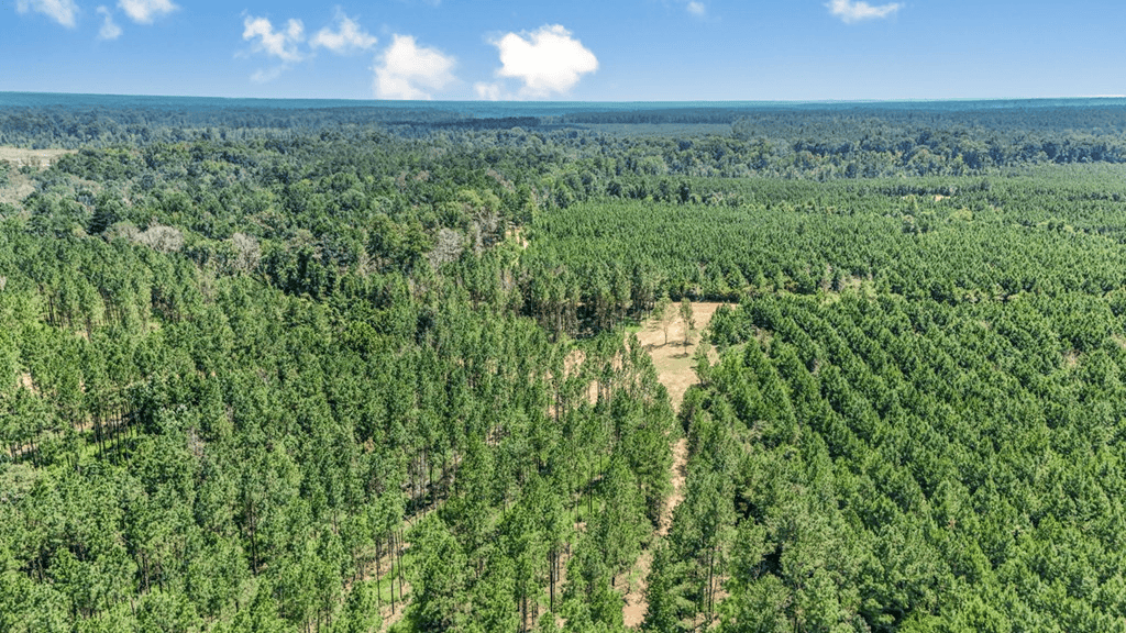Turn Key Hunting Property in Amite County, MS