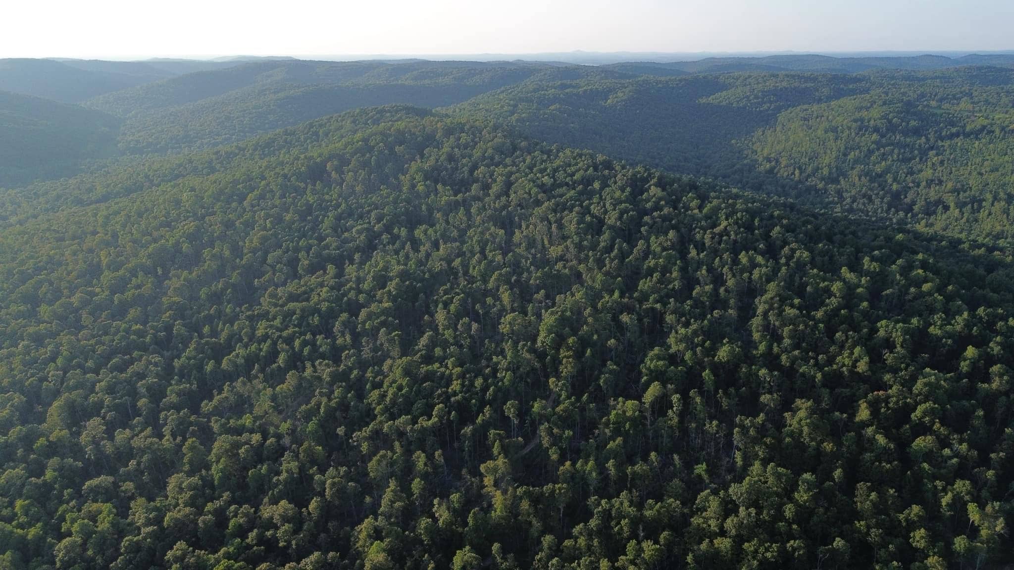 Acreage in Wayne County, Kentucky