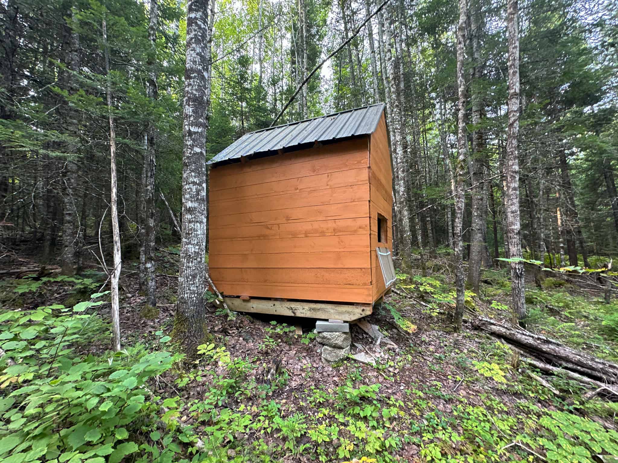 Affordable 20 Acres in the Woods