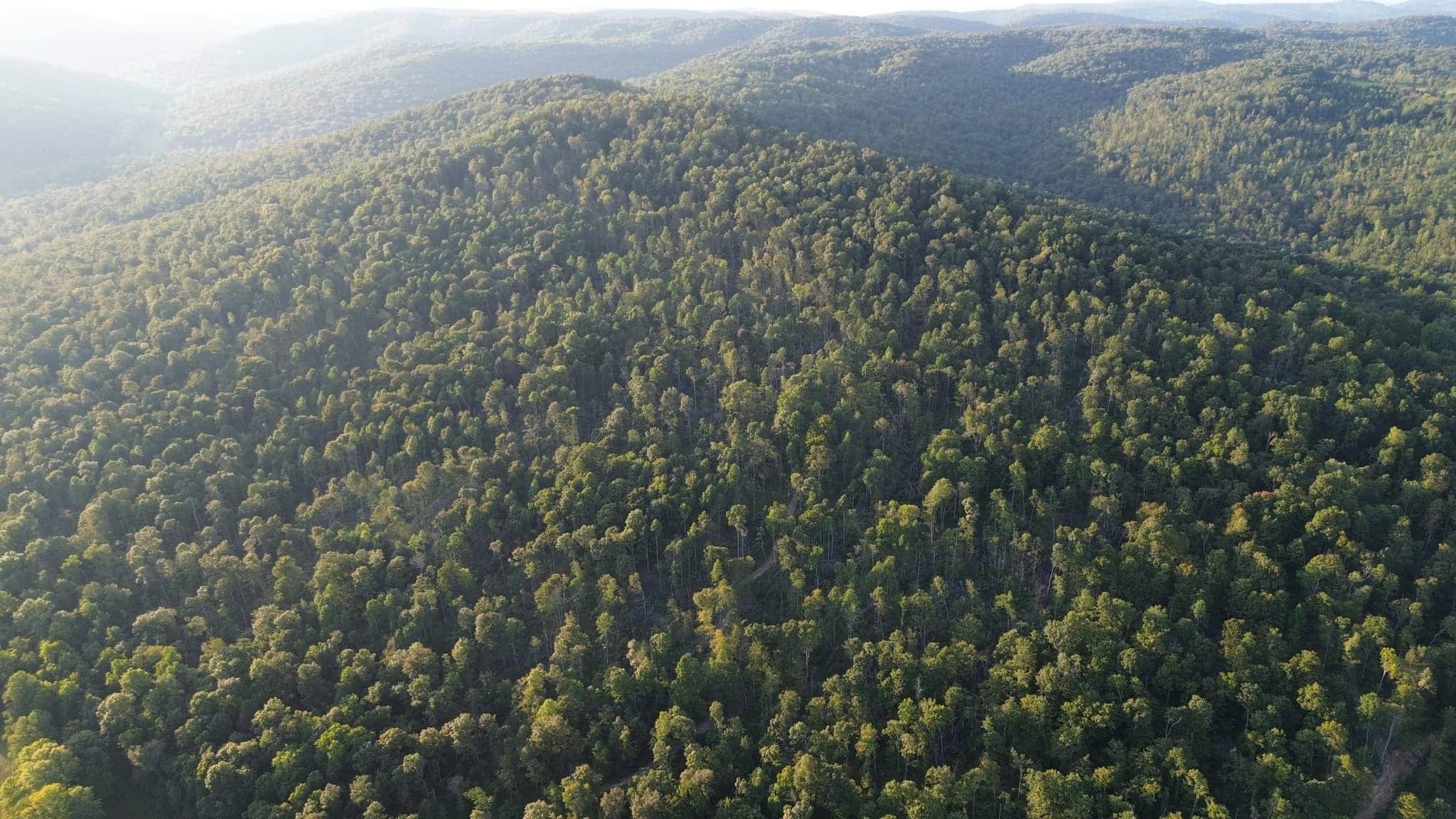Acreage in Wayne County, Kentucky
