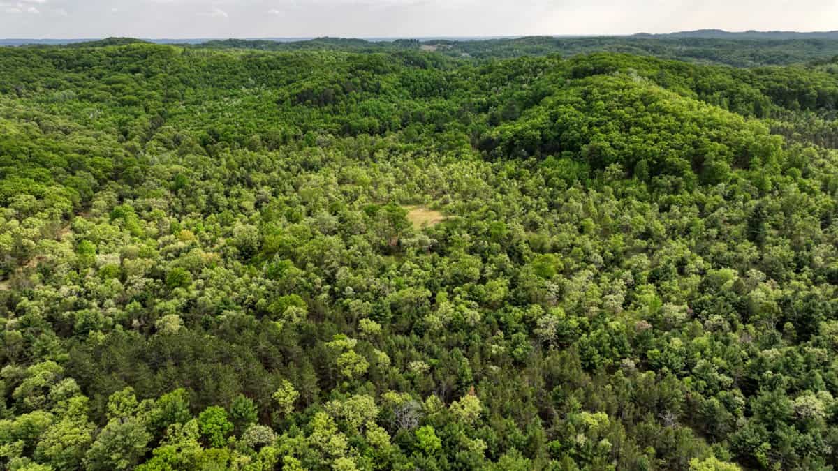 Exceptional Recreational Property in Sparta, WI