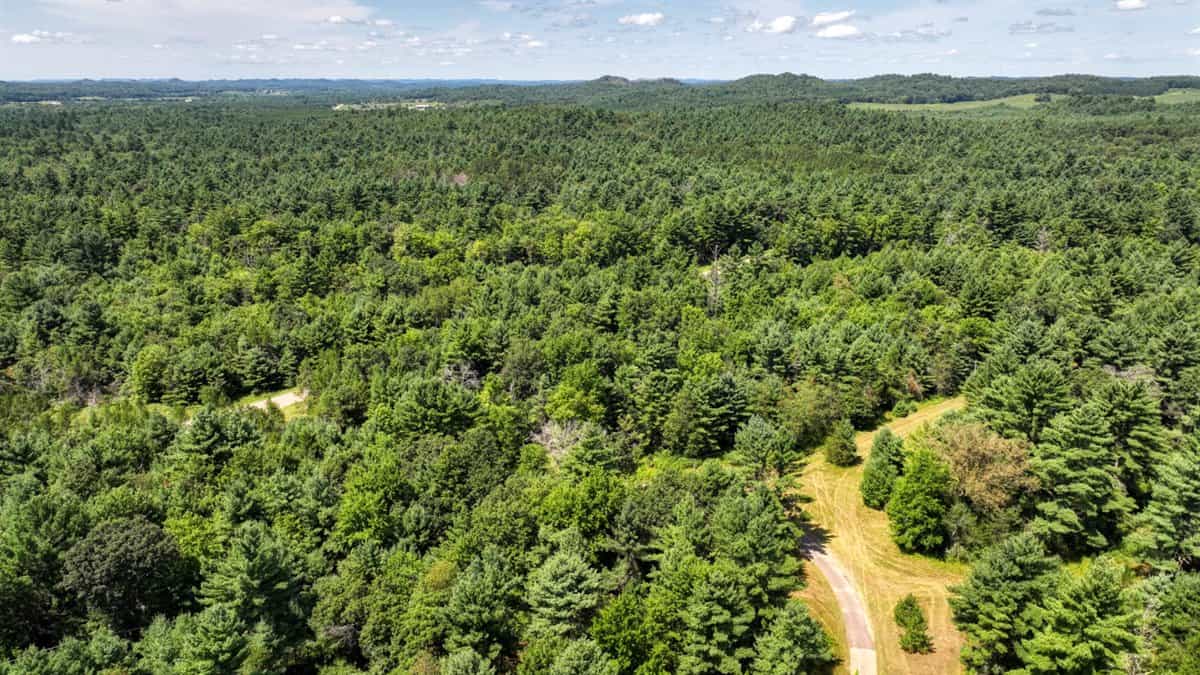 4-Bedroom Home Tucked Away in the Pines