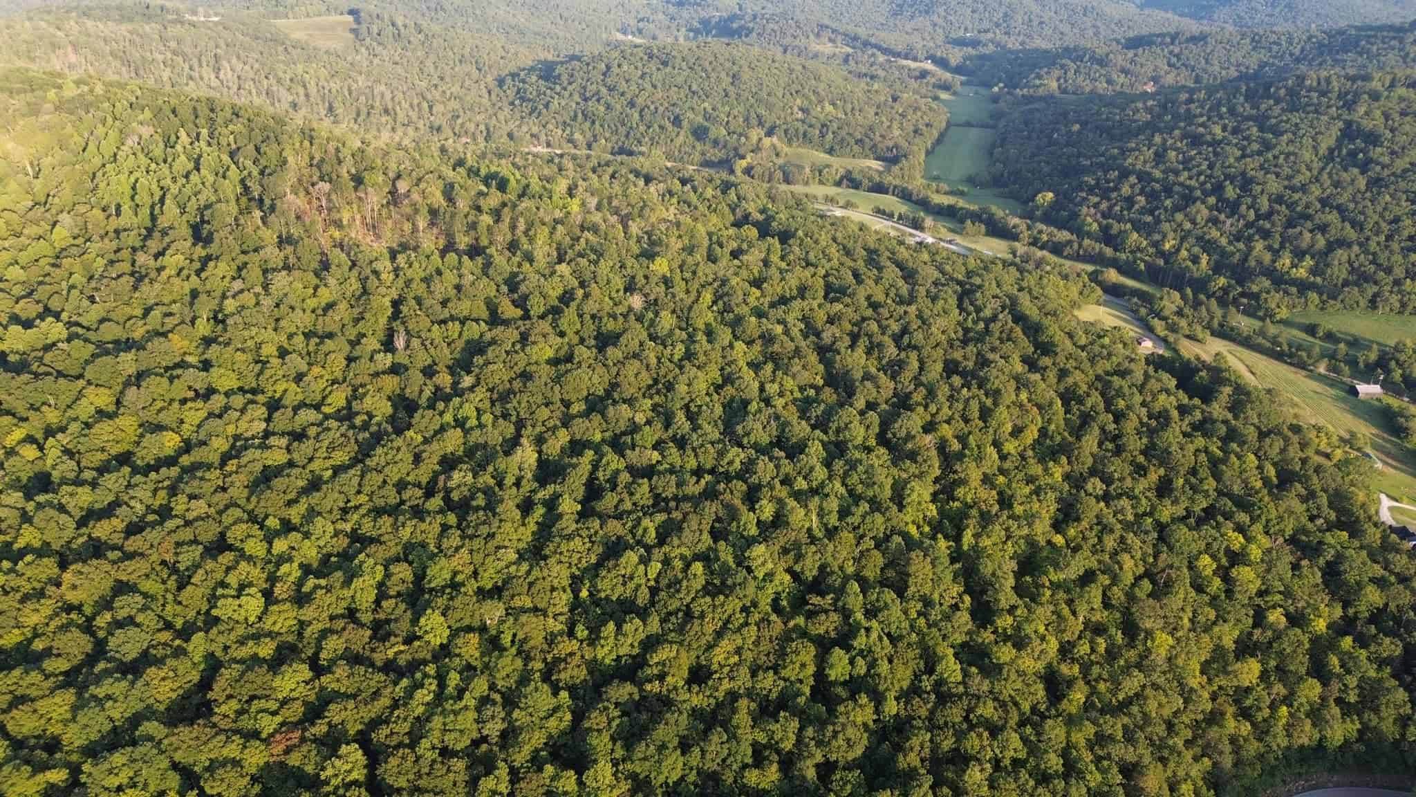 Acreage in Wayne County, Kentucky