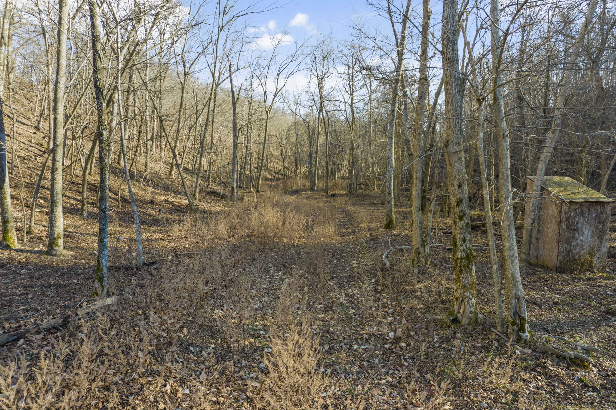 160 Acre Hunting Land in Delaware County Oklahoma