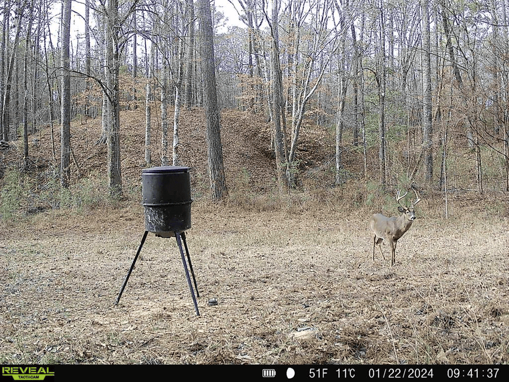 Wilkinson County Hunting Land Adjoining National Forest