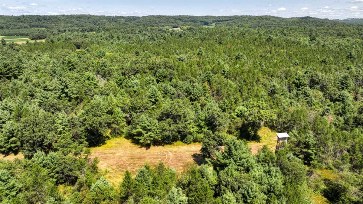4-Bedroom Home Tucked Away in the Pines