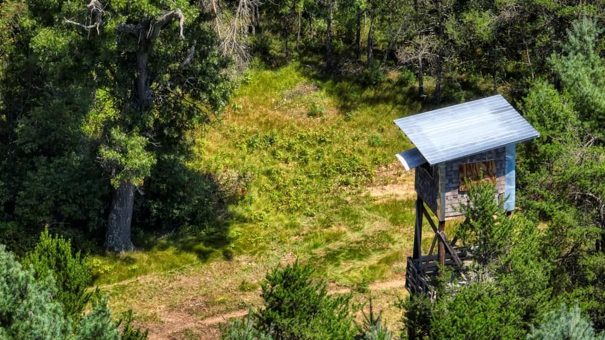 4-Bedroom Home Tucked Away in the Pines