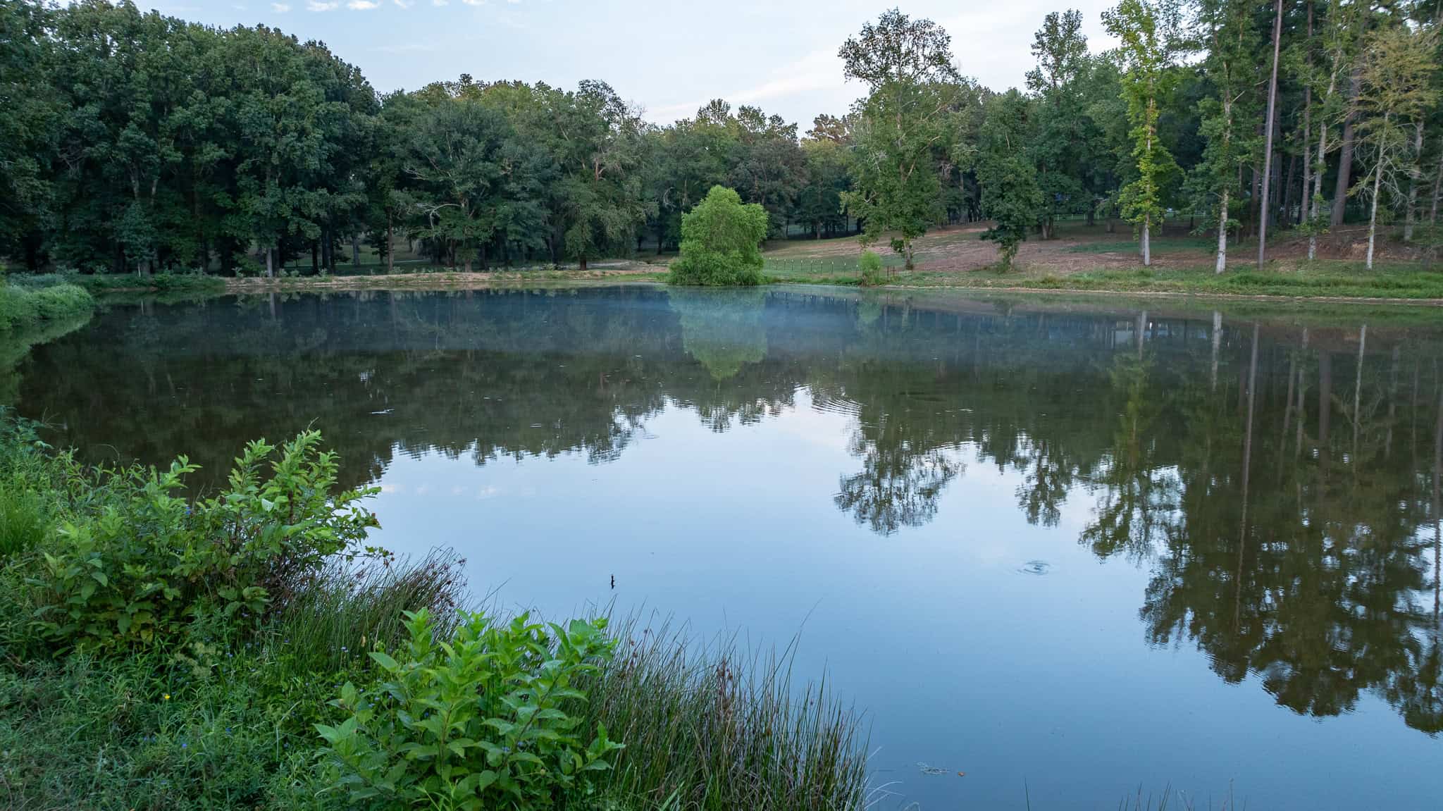 SOLD! Overton TX Ranch for Sale in Rusk County East of Dallas