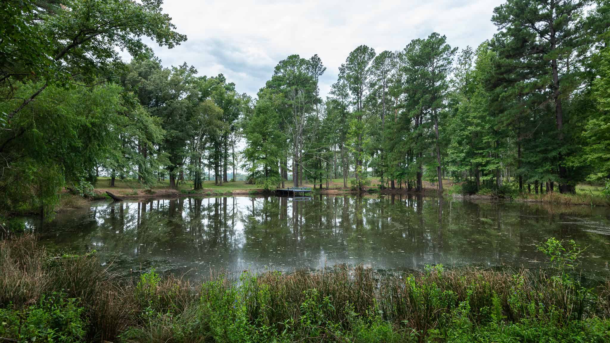 SOLD! Overton TX Ranch for Sale in Rusk County East of Dallas