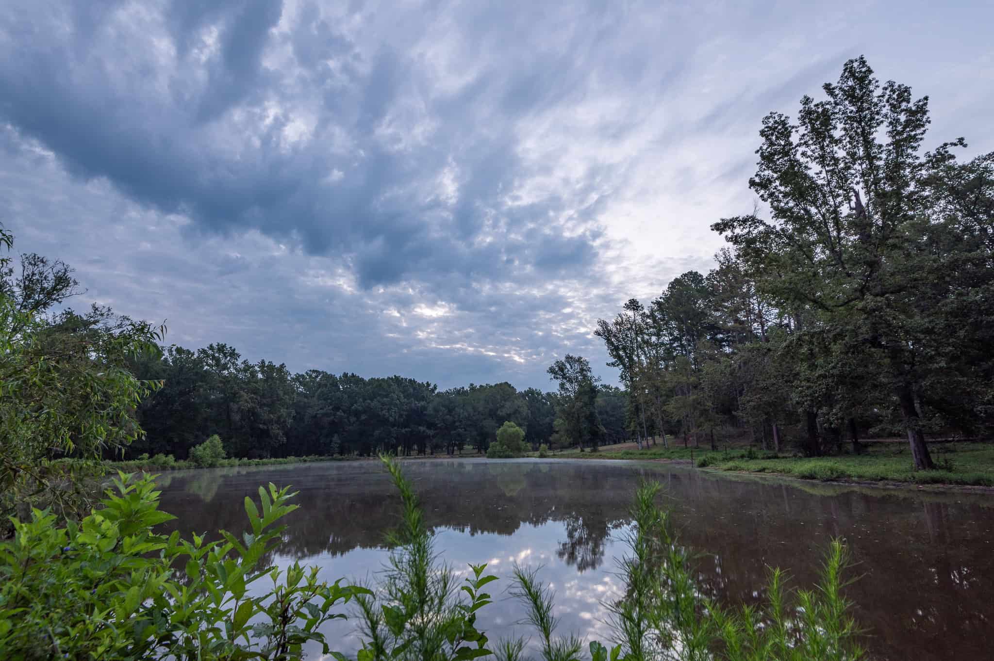 SOLD! Overton TX Ranch for Sale in Rusk County East of Dallas