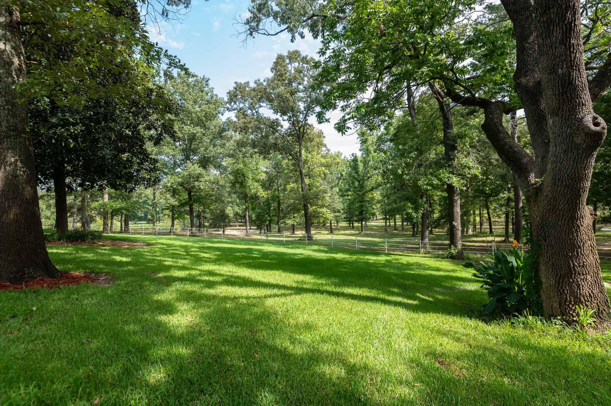 SOLD! Overton TX Ranch for Sale in Rusk County East of Dallas