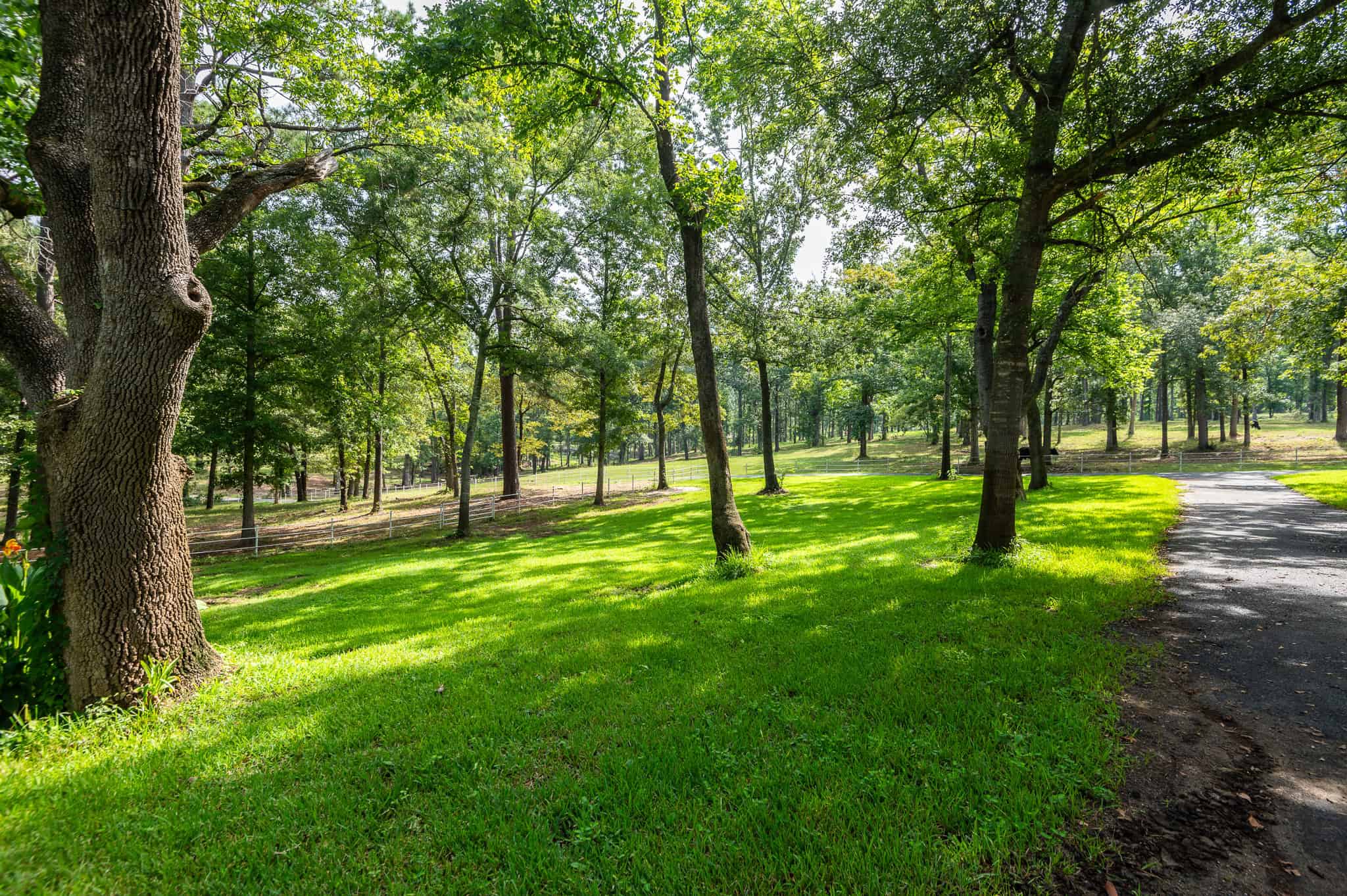 SOLD! Overton TX Ranch for Sale in Rusk County East of Dallas
